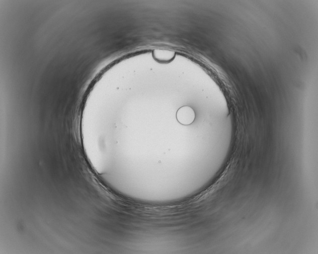 X0000110671272200907241014