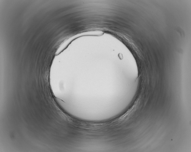 X0000110671273200907241014