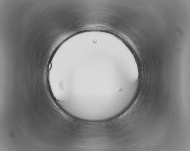 X0000110671277200907241014