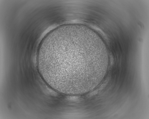X0000110671278200907241014