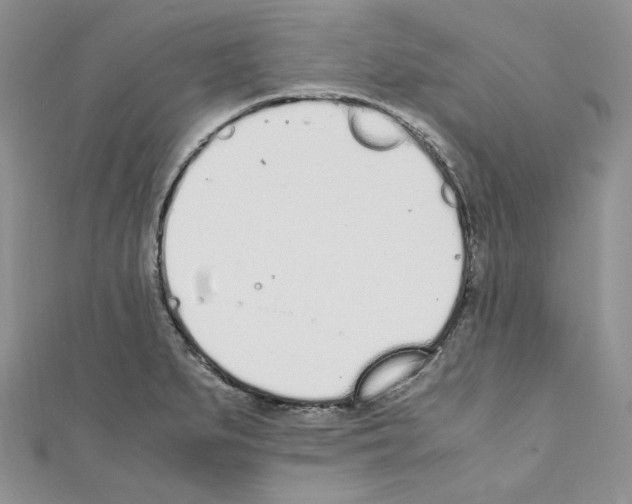 X0000110671279200907241014