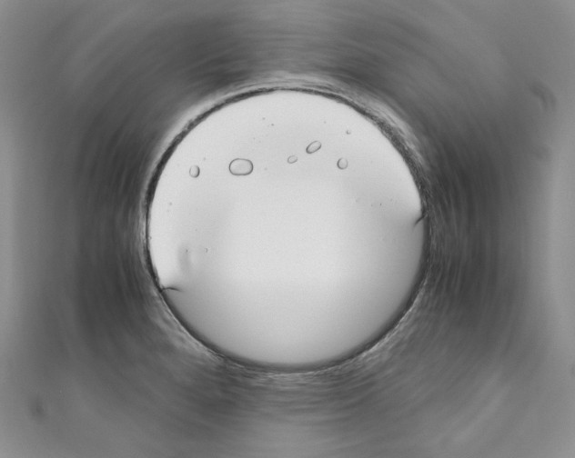 X0000110671280200907241014