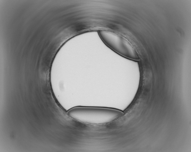 X0000110671281200907241014