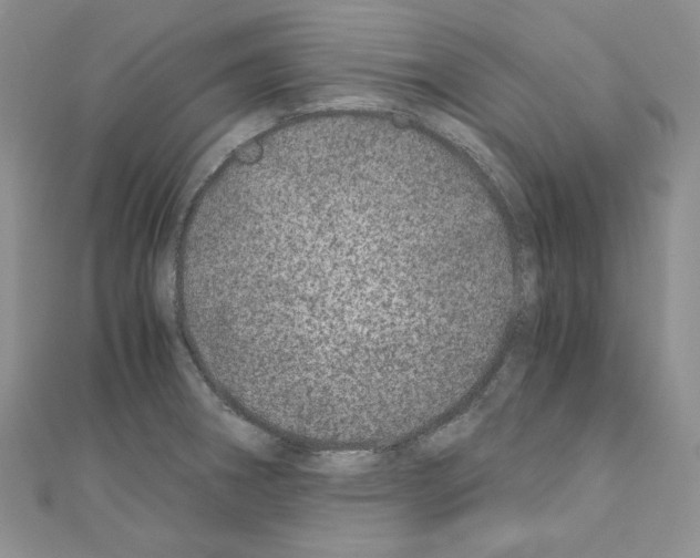 X0000110671282200907241014