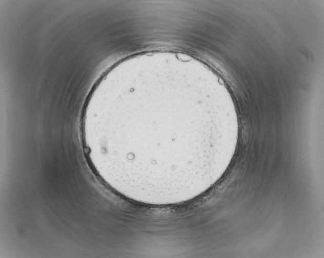 X0000110671283200907241014