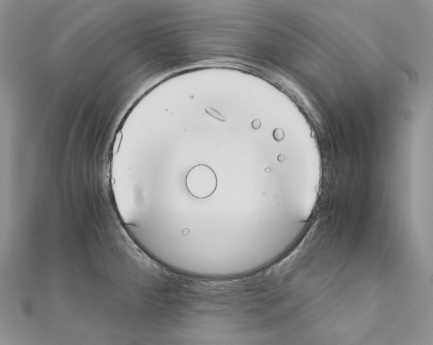 X0000110671284200907241014