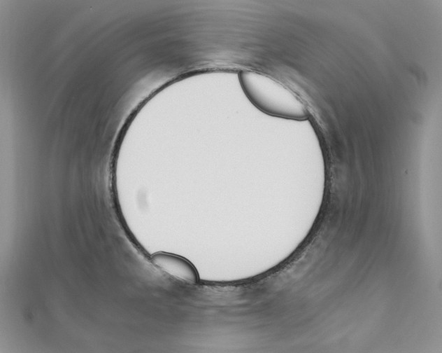 X0000110671285200907241014