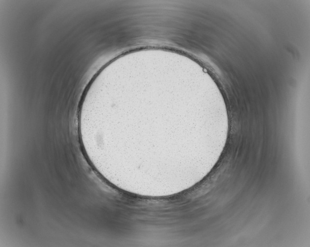 X0000110671287200907241014