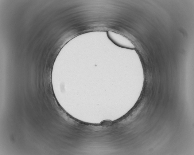 X0000110671289200907241014