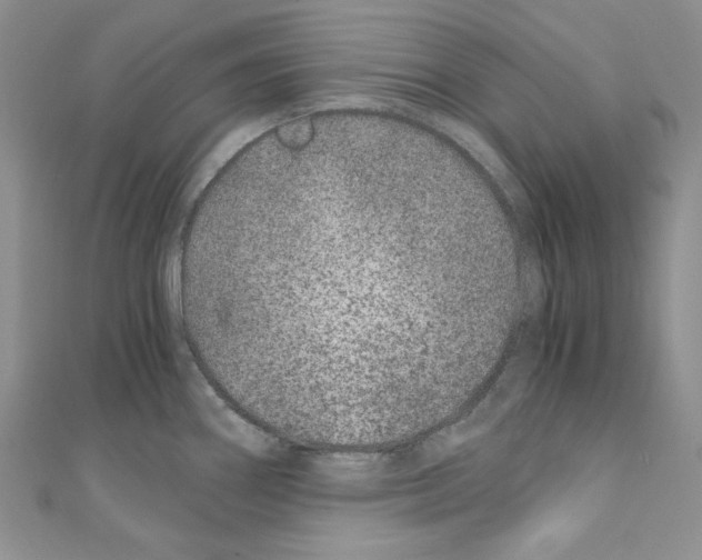 X0000110671290200907241014