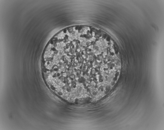 X0000110671291200907241014