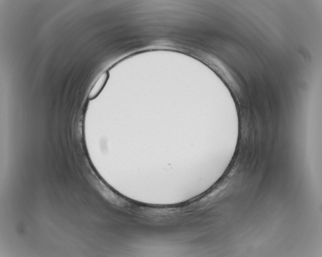 X0000110671292200907241014