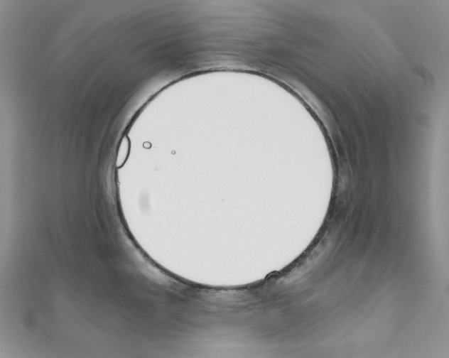 X0000110671293200907241014