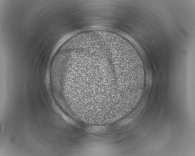 X0000110671294200907241014