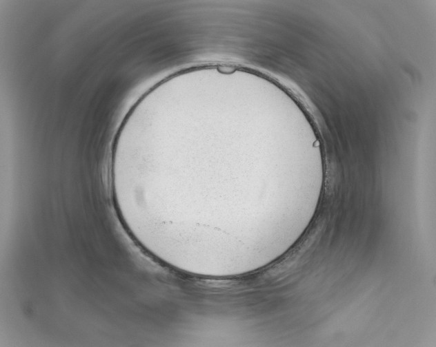 X0000110671295200907241014