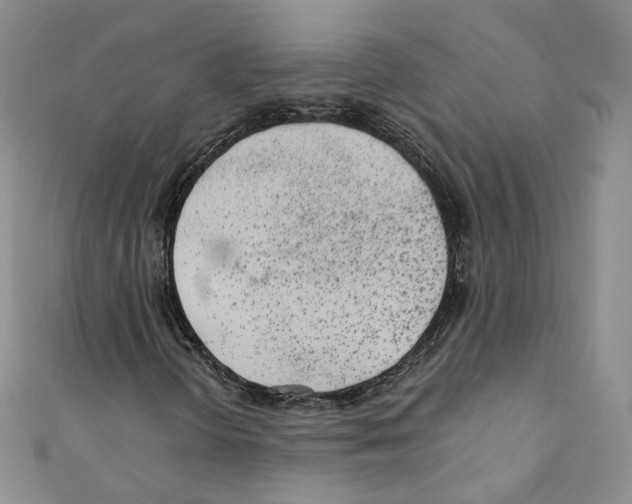 X0000110671298200907241014