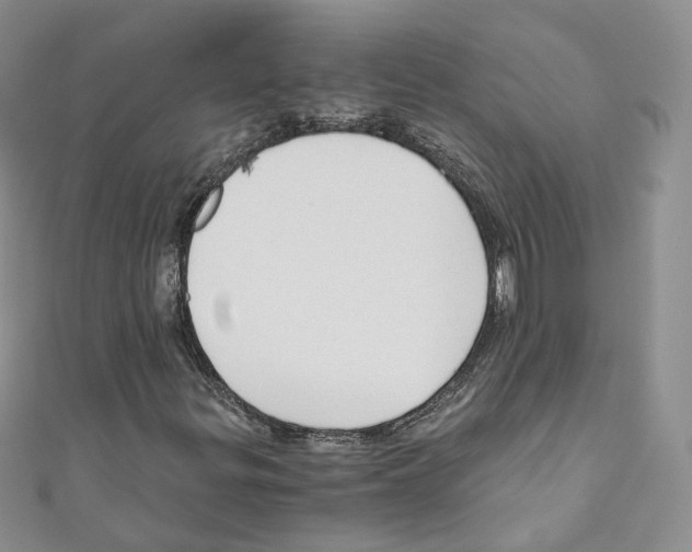 X0000110671299200907241014