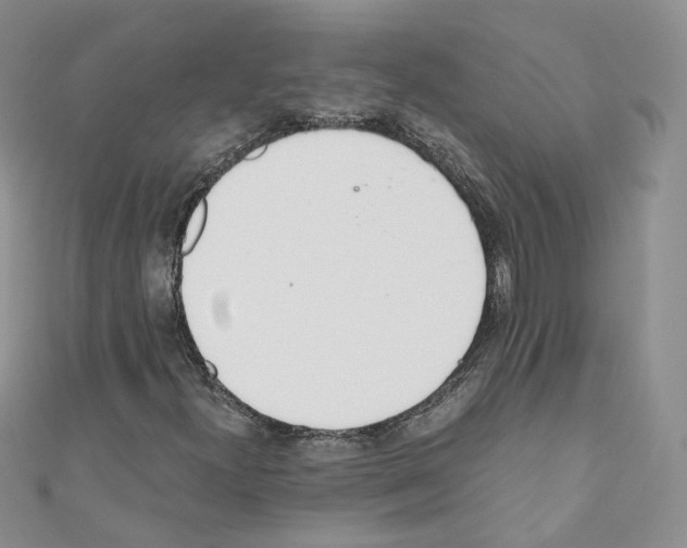 X0000110671300200907241014