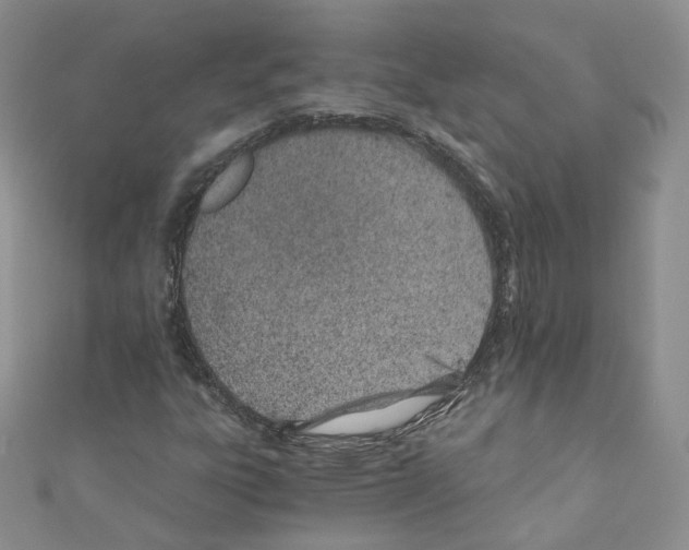 X0000110671303200907241014