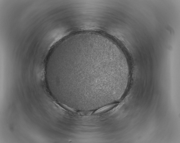 X0000110671306200907241014