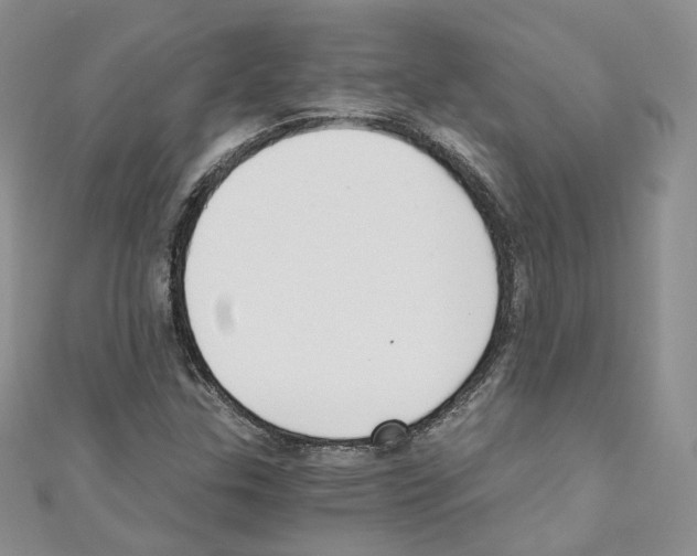 X0000110671307200907241014