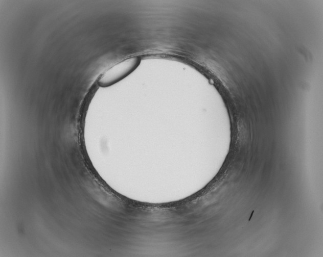 X0000110671308200907241014