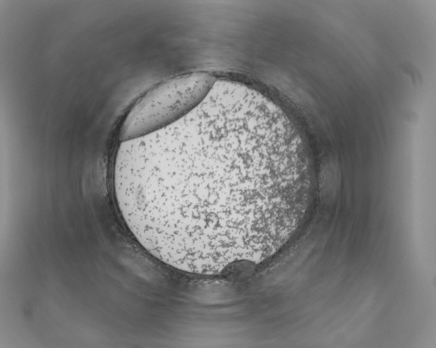 X0000110671310200907241014