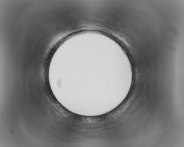 X0000110671311200907241014