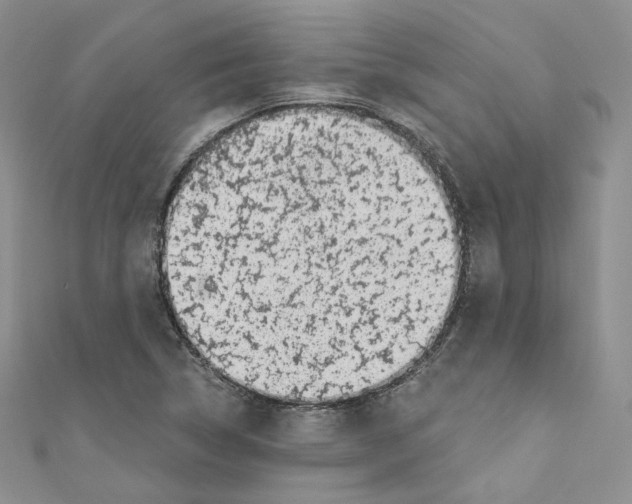 X0000110671314200907241014