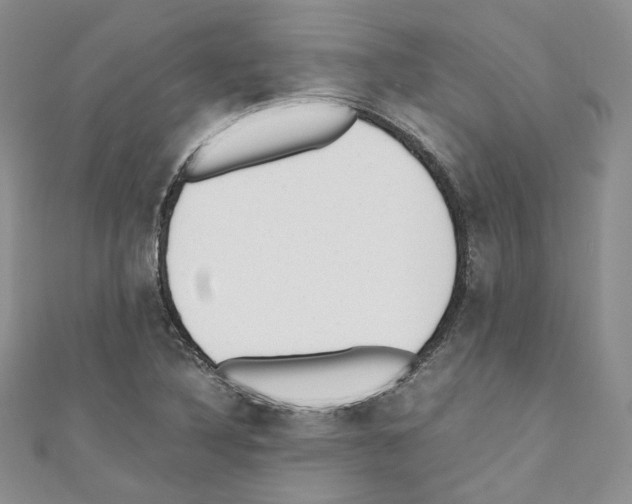 X0000110671316200907241014