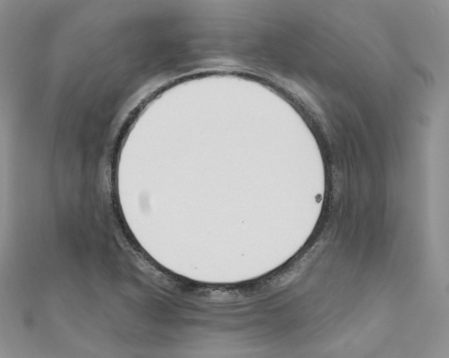 X0000110671318200907241014