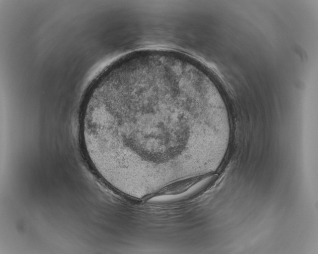 X0000110671319200907241014