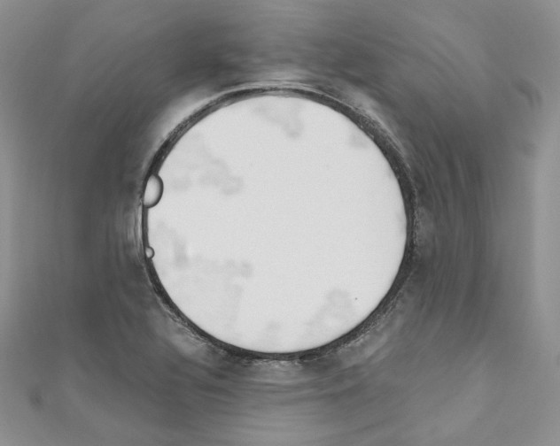 X0000110671320200907241014