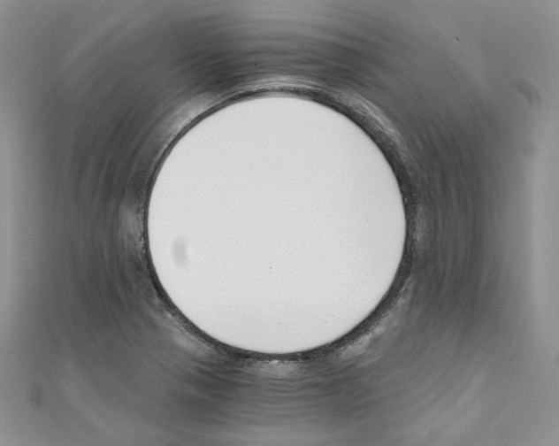 X0000110671321200907241014