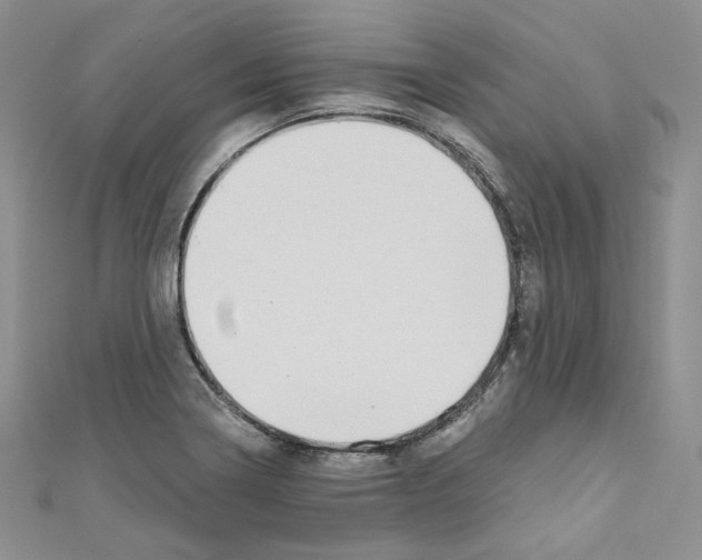 X0000110671322200907241014
