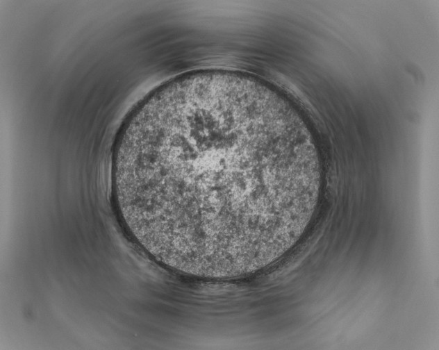 X0000110671323200907241014