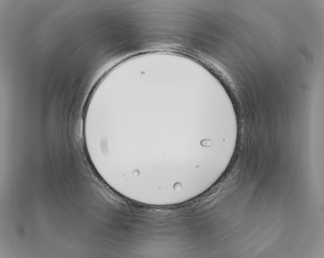 X0000110671324200907241014