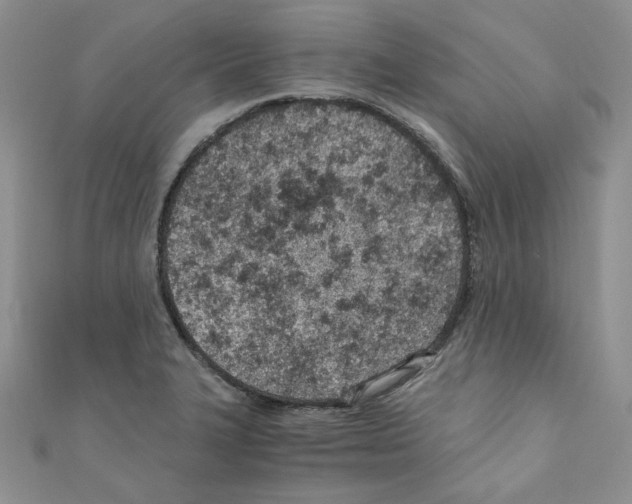 X0000110671327200907241014