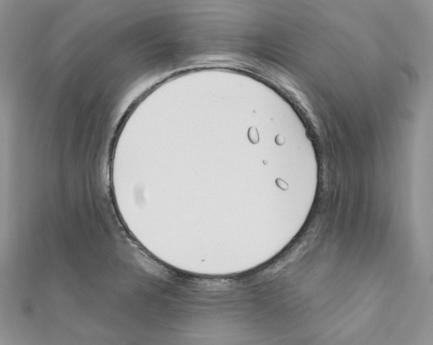 X0000110671328200907241014