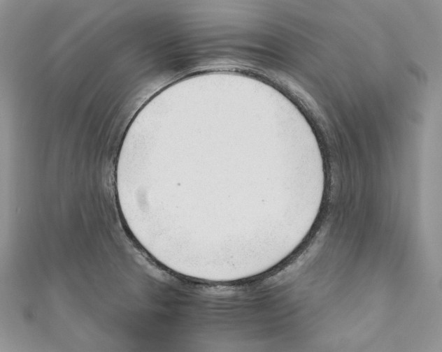 X0000110671329200907241014