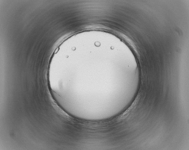 X0000110671330200907241014