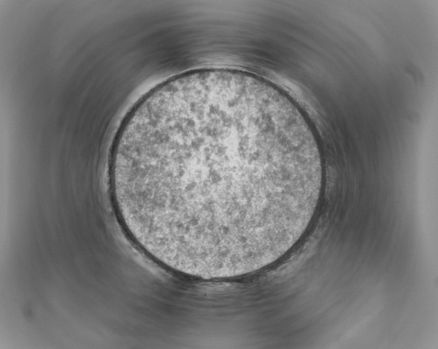 X0000110671331200907241014
