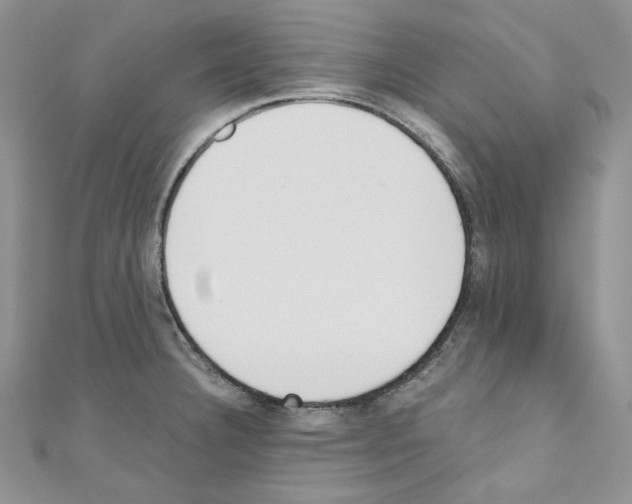 X0000110671332200907241014