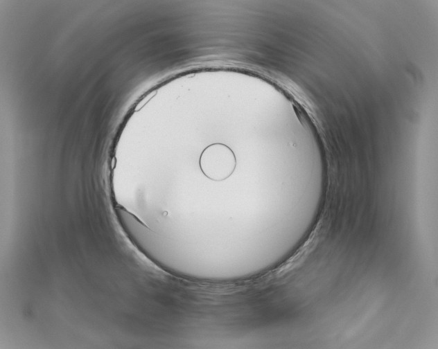 X0000110671334200907241014
