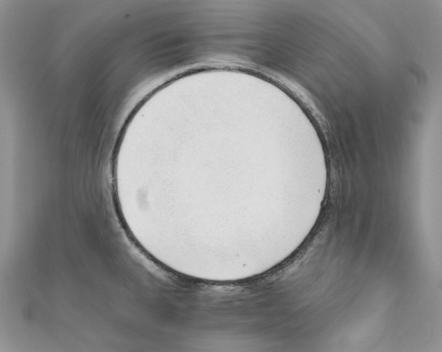 X0000110671335200907241014