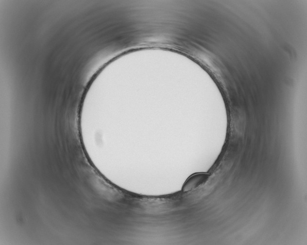 X0000110671336200907241014