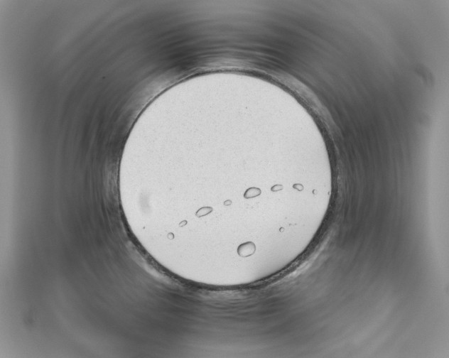 X0000110671337200907241014