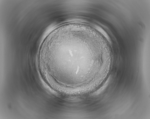 X0000110671338200907241014