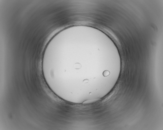 X0000110671340200907241014