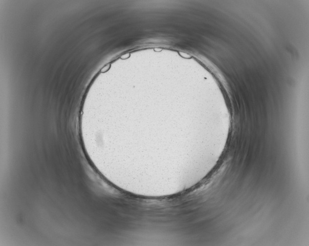 X0000110671341200907241014